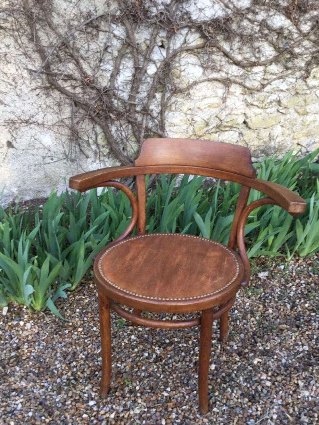 Fauteuil de bureau Thonet
