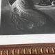 Antique engraving by edwin landseer - cavalier king charles dogs