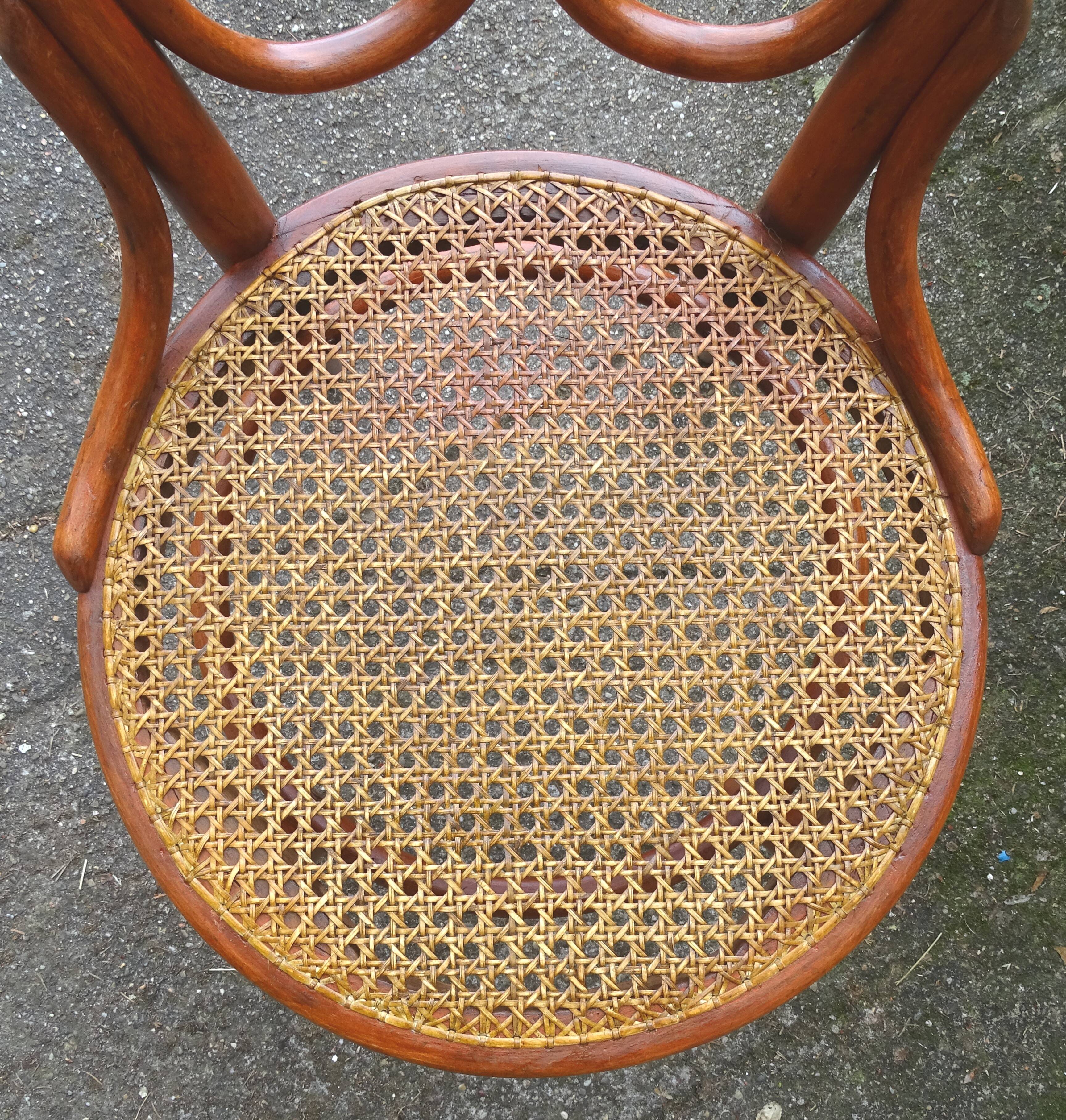 Chaise bistrot cannée Thonet dite "Oméga" n°20, 1890