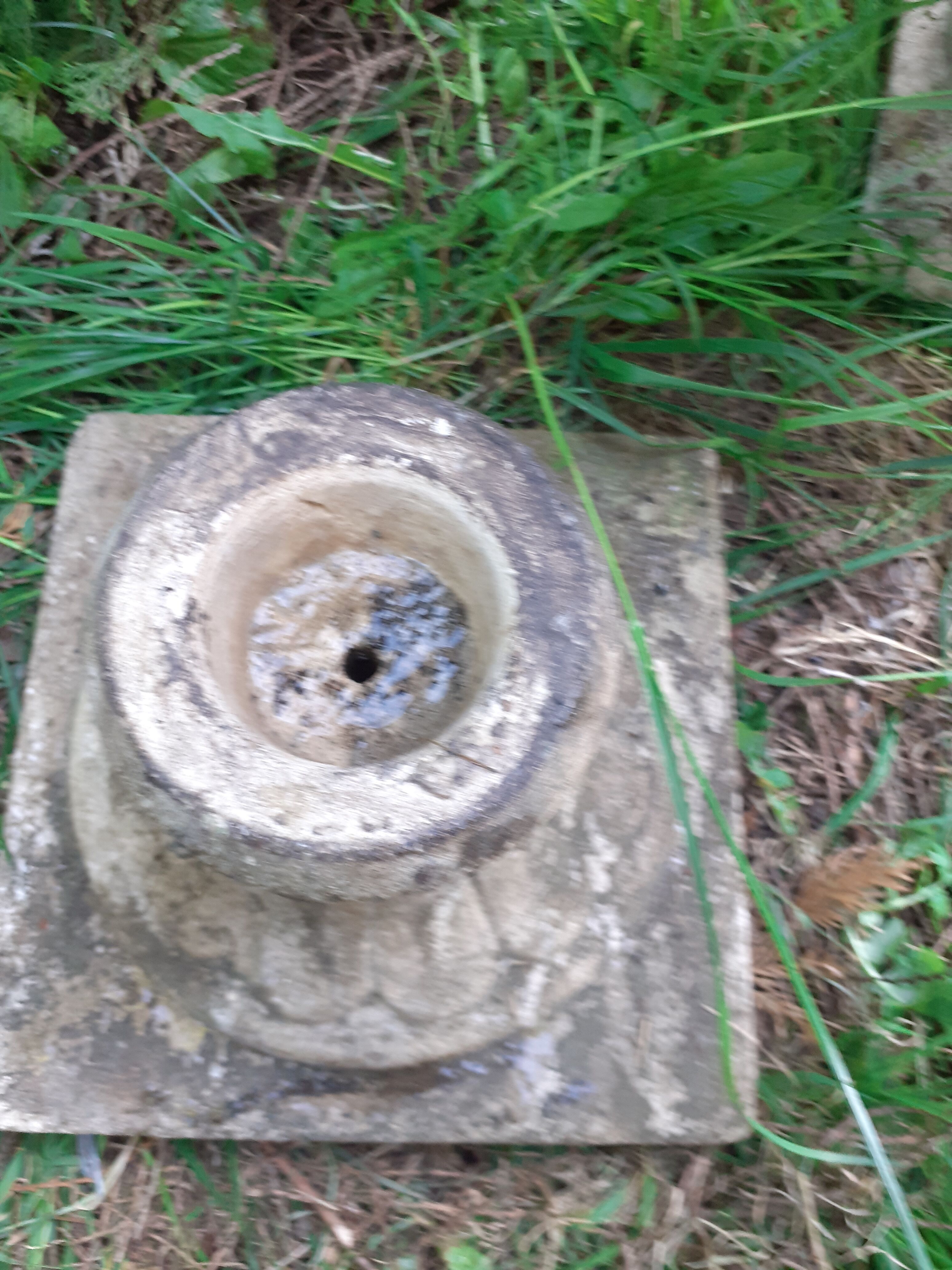 Pair of stone planter medicis