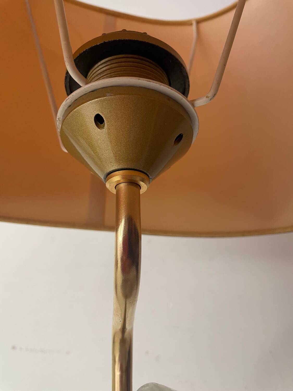 The Dolphin Horse Head Lamp