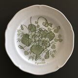 Set of 2 Glen plates with botanical decor