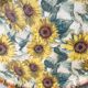 Plateau tournesol