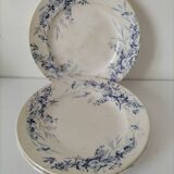 Creil Montereau Plates Linotte Model