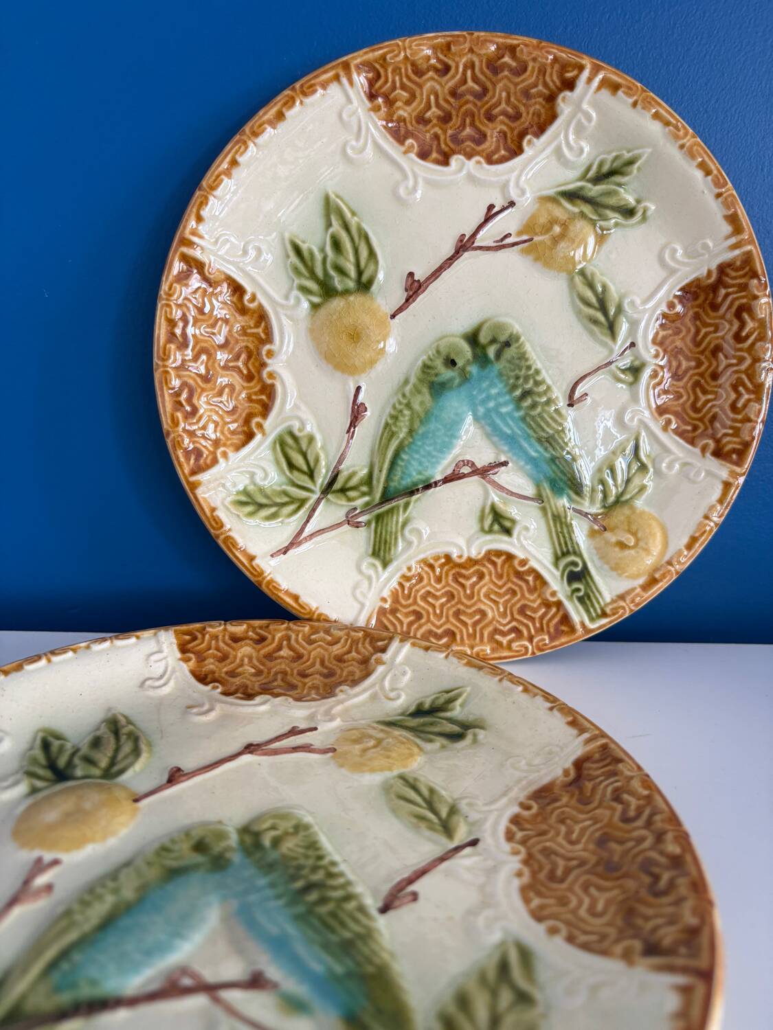 Set of 2 Salins Barbotine Plates - Vintage Parakeet Decor - service