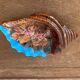 Cendrier barbotine en forme de coquillage Vallauris vintage