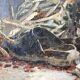 Oil on canvas still life 60s vintage
