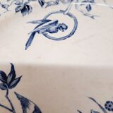 Compotier Terre de fer Perruche