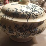 Insect Shoemaker XIXth