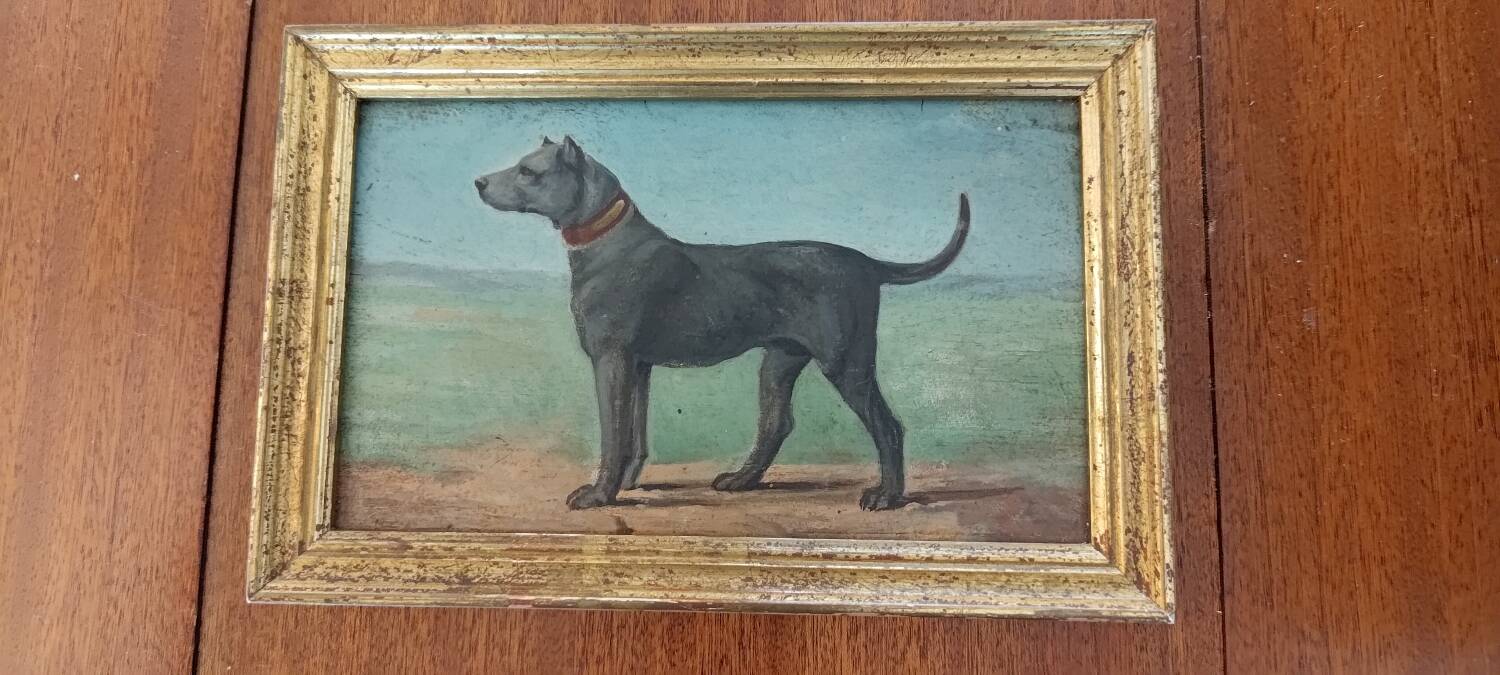 Dog painting