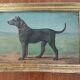 Dog painting
