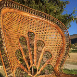 Emmanuelle adult peacock chair for the 70s