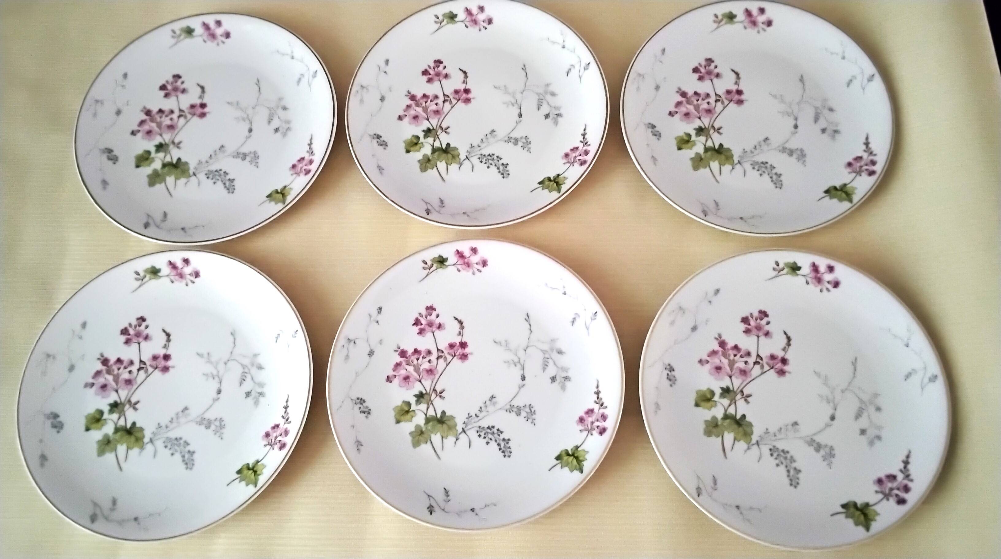 6 Limoges porcelain dessert plates by Ch. Field Haviland