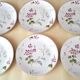 6 Limoges porcelain dessert plates by Ch. Field Haviland