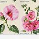 Poster featuring immortelles, heliotropes, hibiscus and hollyhocks