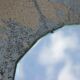 Mirror tray