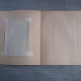 Old botanical engraving "carnations"