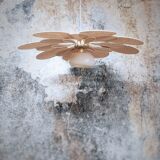 Old suspension vintage globe and petals in linen and rattan