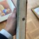 Huile sur toile pin parasol