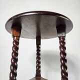 Elegant Victorian Mahogany Plant Stand / Side Table