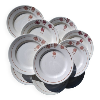 plate