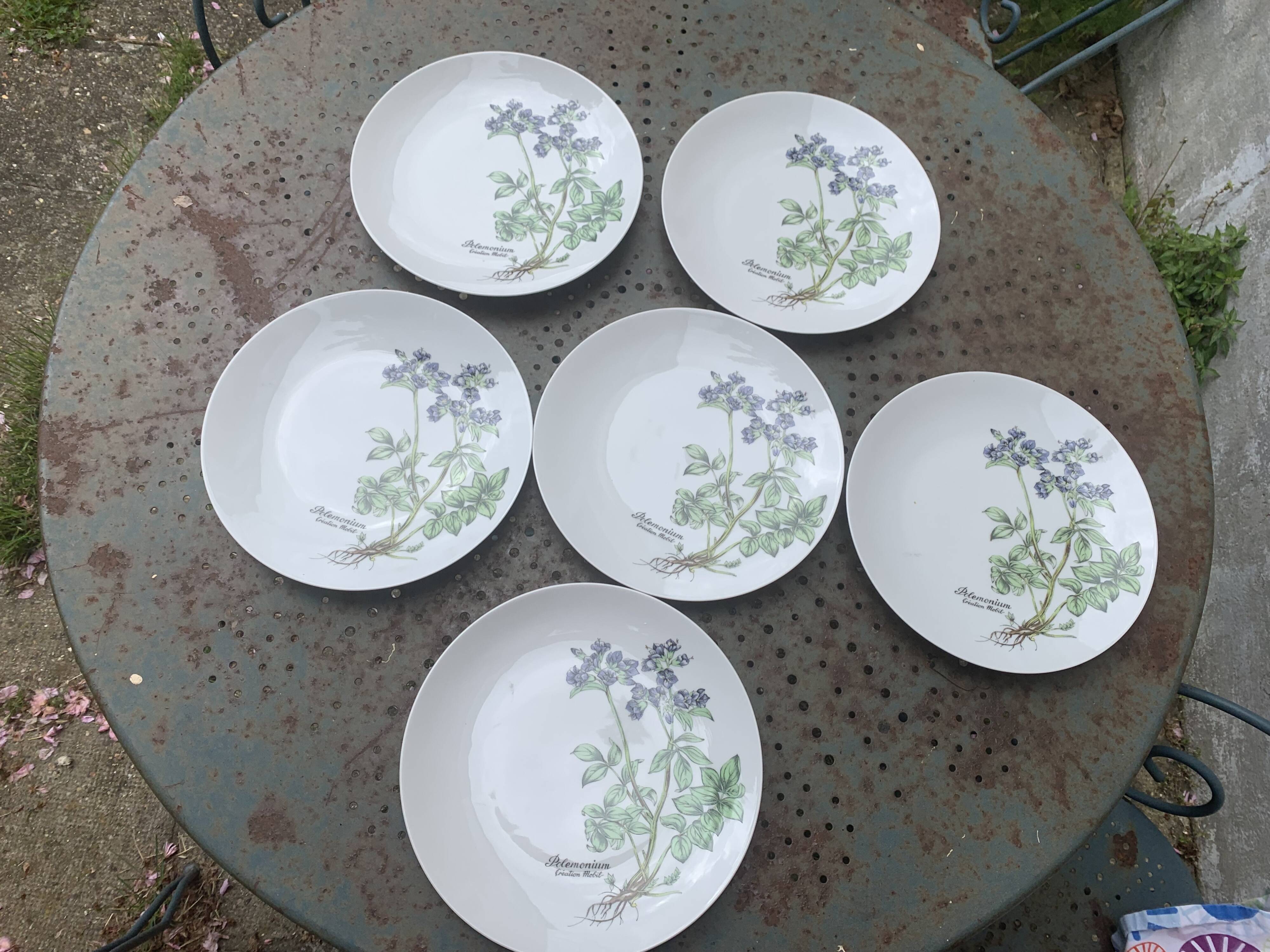 6 winterling bavaria porcelain herbarium pattern flat plates