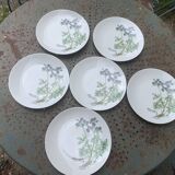 6 winterling bavaria porcelain herbarium pattern flat plates
