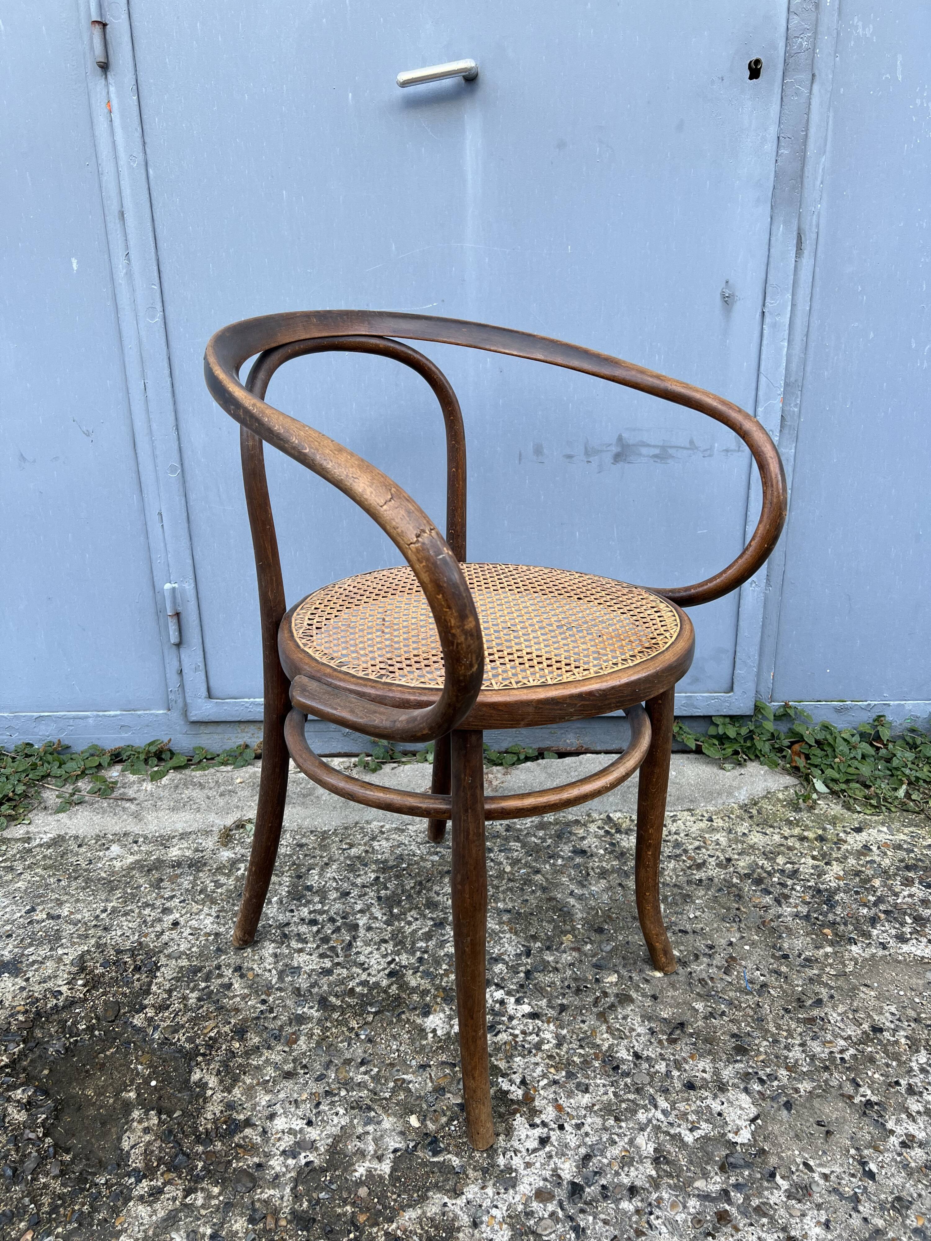 Thonet 209 chair by Mundus