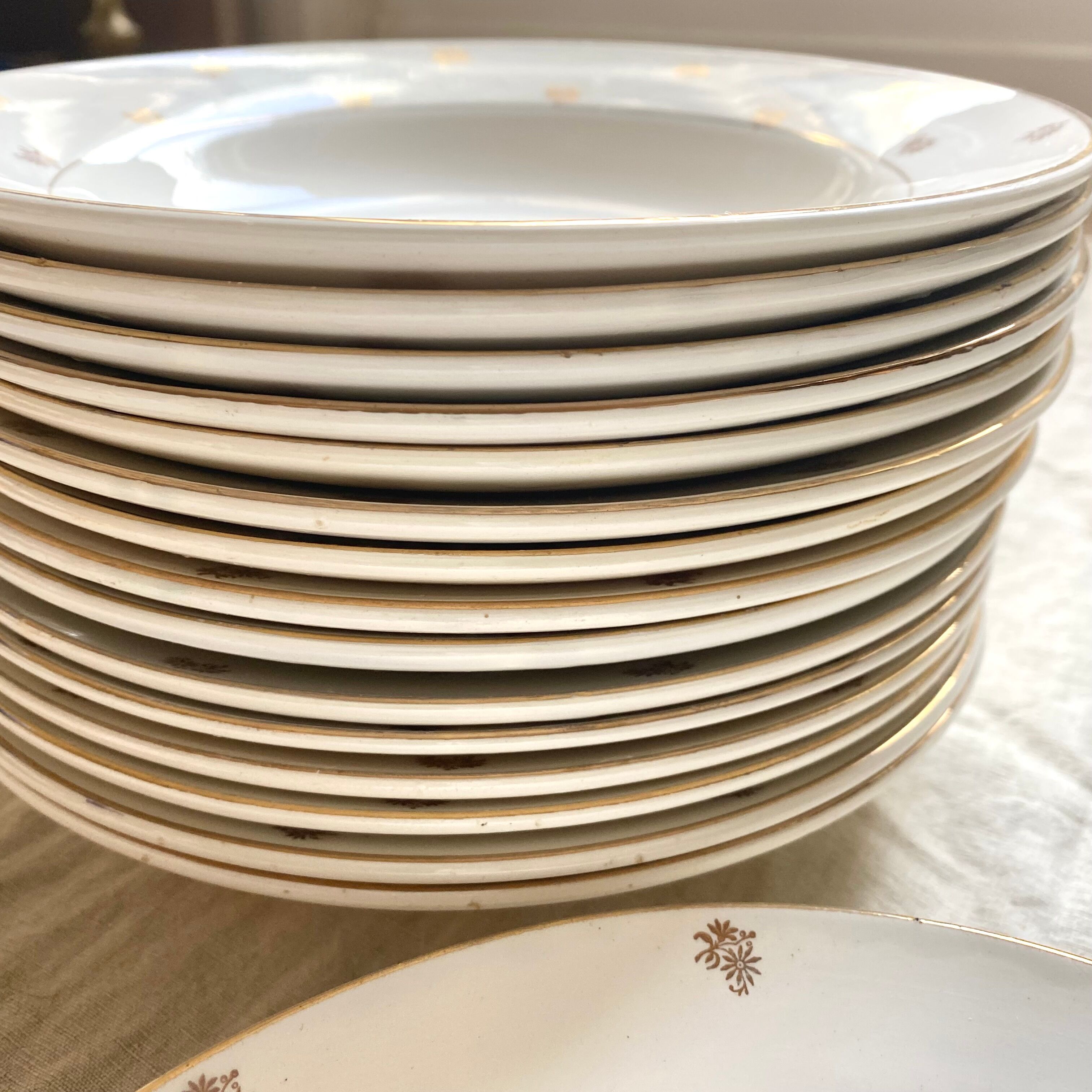 Digoin Sarreguemines hollow plates 16