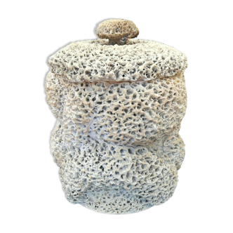 Pot of sandstone and calcified limestone in a cave.