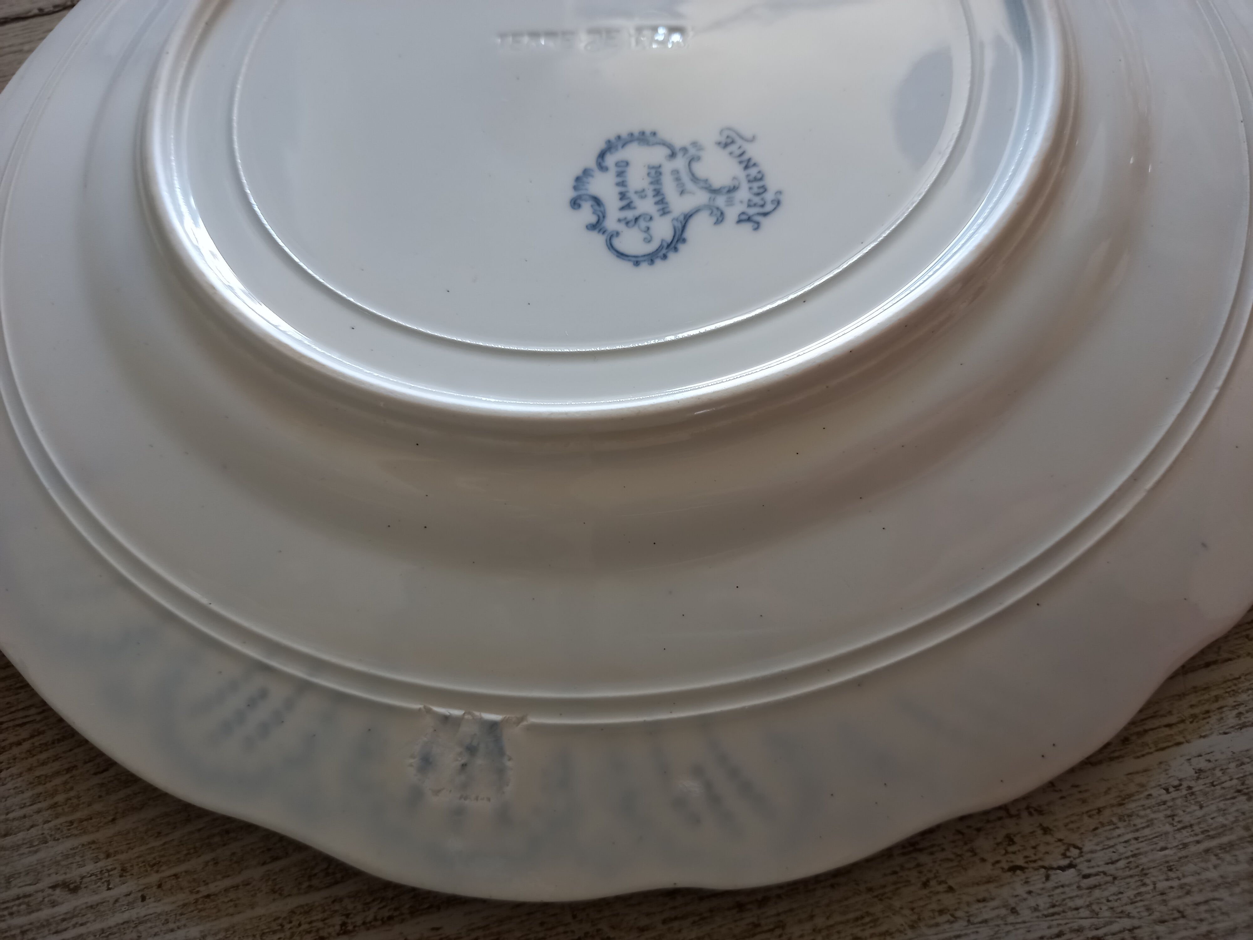 Pair of flat plates Terre de Fer "Régence" Saint-Amand & Hamage