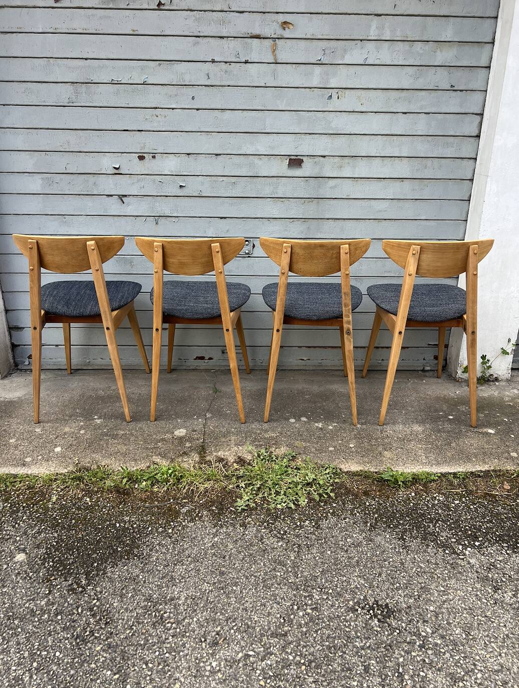 (Lot) 4 chaises Baumann Fontania (restaurées) 1960
