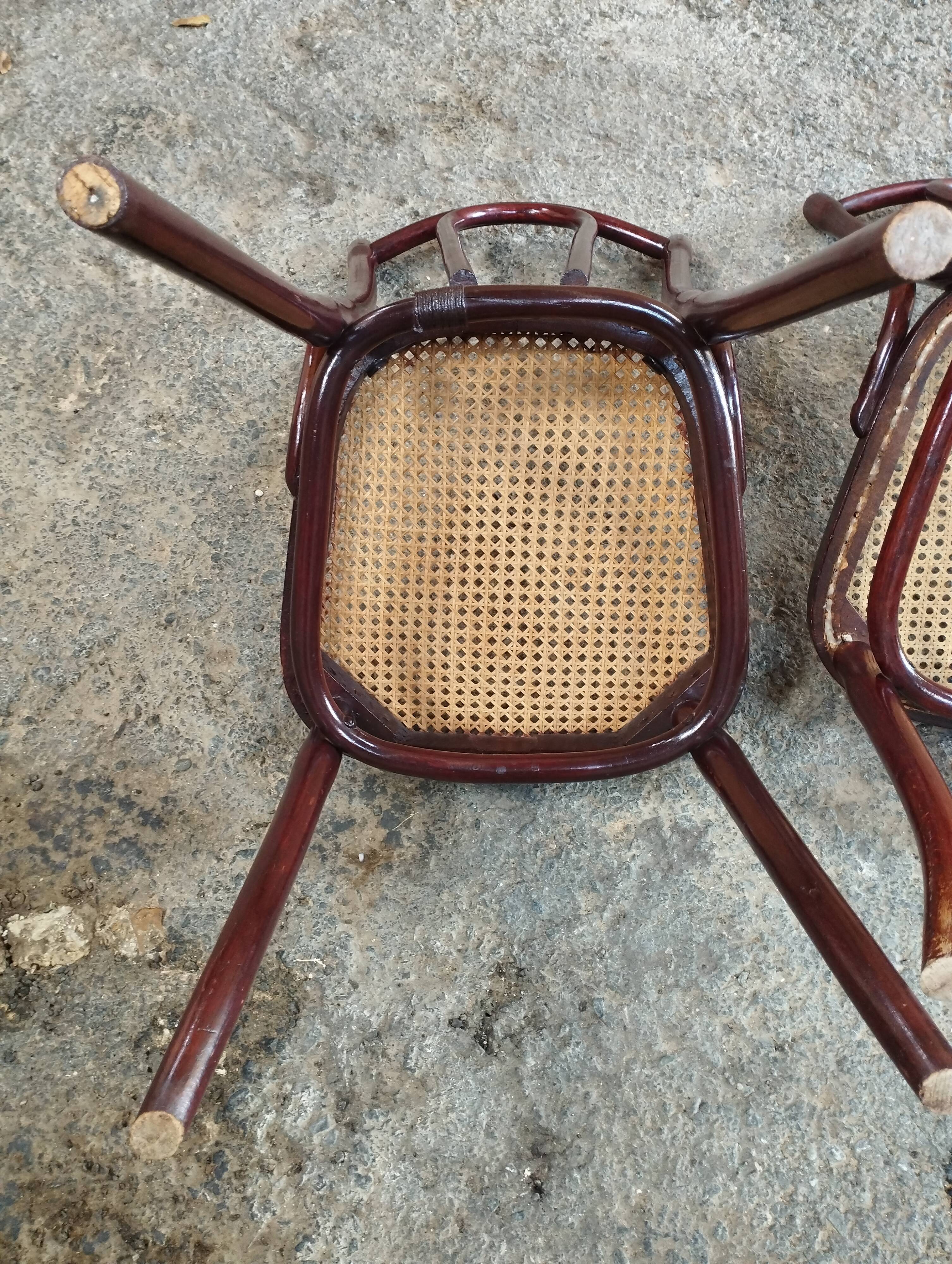 Set of Thonet chairs