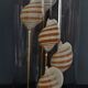 Cabinet of Curiosities globe shells tonna sulcosa