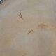 Stoneware tray signed Auger / Puisaye