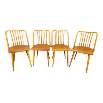Antonin Suman for TON Dining Chairs, 1960s, Set of Four