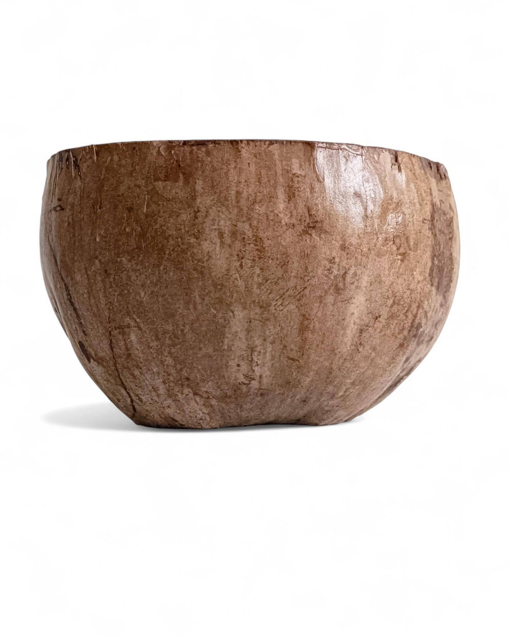 Centre de table Wabi Sabi moderne organique Coco de Mer, sculpté à la main, 19e siècle.