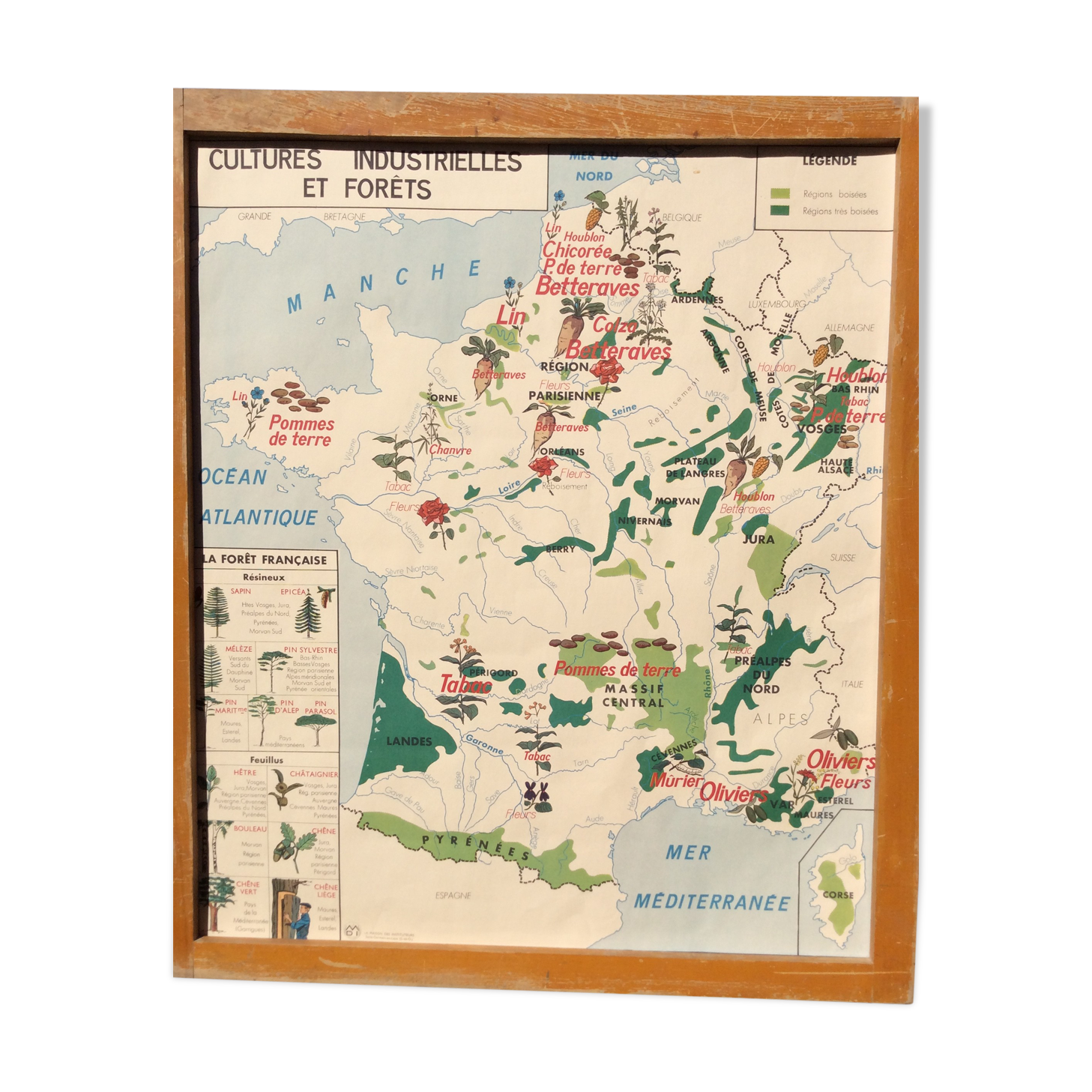 School poster two-sided industrial crops and Garonne 1960 vintage