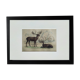 Planche Zoologique Originale " Elan & Renne - Buffon 1836