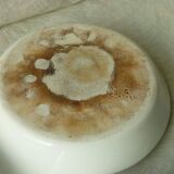 Fire-fired porcelain egg dishes
