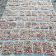Tapis marocain berbère 250cmx150cm