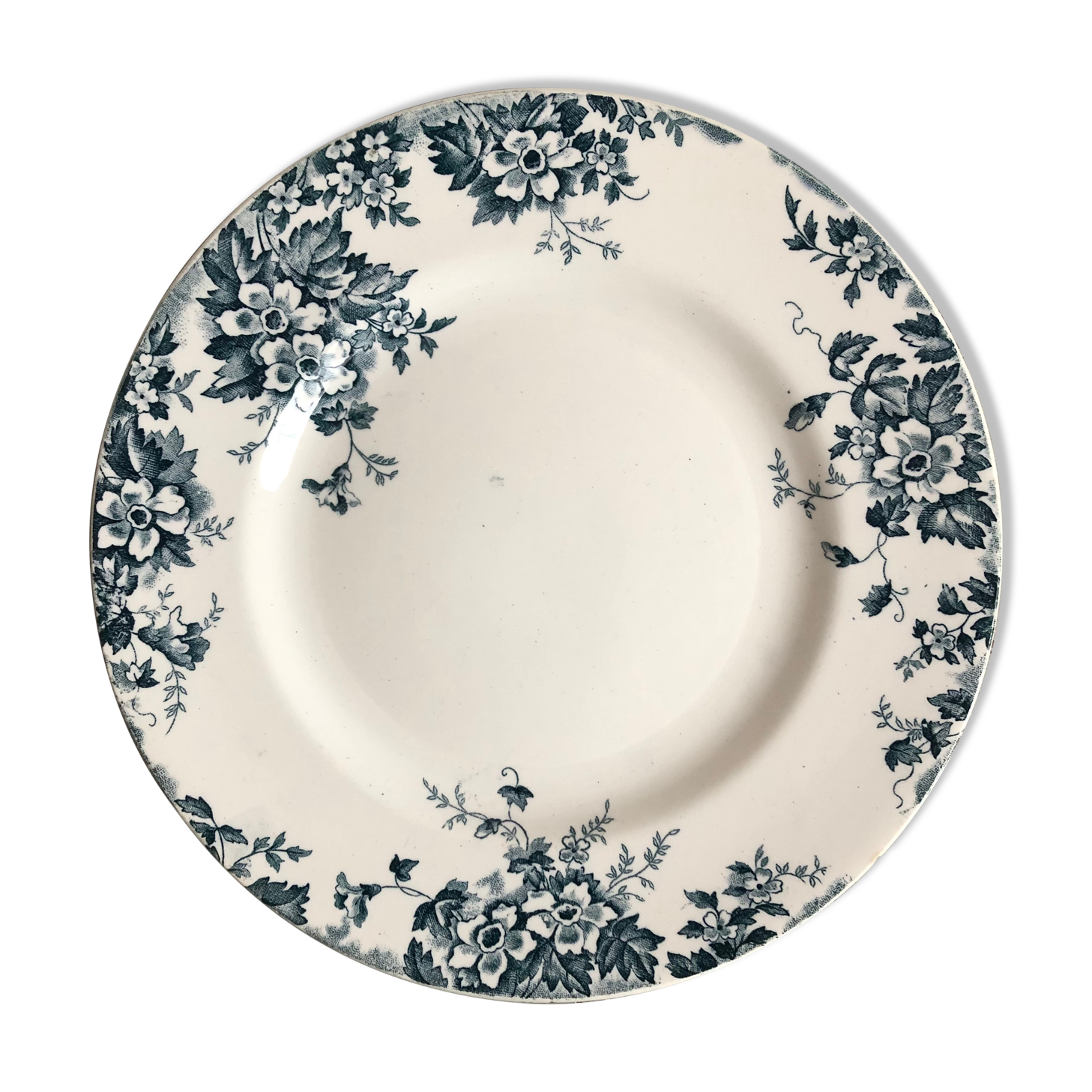 Old plate model Marie Louise Saint Amand and Hamage Nord Terre de Fer