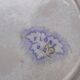 Antique lavender blue plates charm of yesteryear Flore Sarreguemines UC