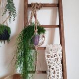 Old wooden ladder