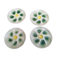 Set of 4 plates with oysters yellow and green salins décor