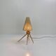 Scandinavian Lamp 50's — Rare Model Attributed to Uno & Östen Kristiansson