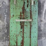 Indian door hand painted with bird and floral patterns, 2 leaves, fixing with 2 rings