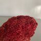 Corail rouge Tubipora, cabinet de curiosités