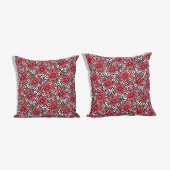 Pair of cushions