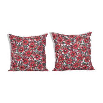 Pair of cushions